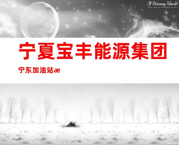 宁夏宝丰能源集团宁东加油站有限公司