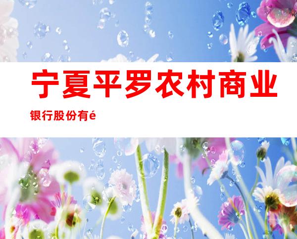 宁夏平罗农村商业银行股份有限公司宝丰支行