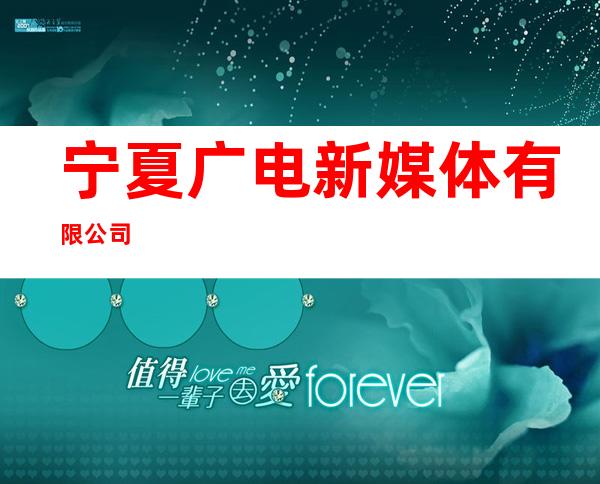 宁夏广电新媒体有限公司