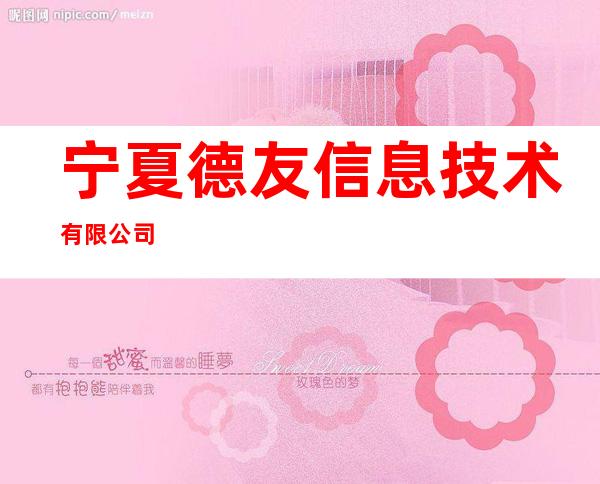 宁夏德友信息技术有限公司