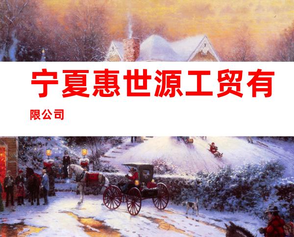 宁夏惠世源工贸有限公司