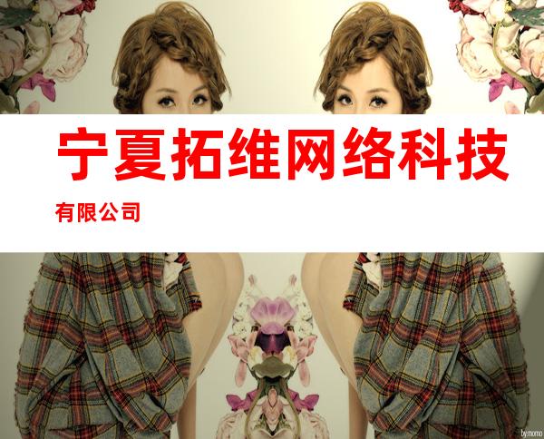 宁夏拓维网络科技有限公司