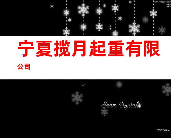 宁夏揽月起重有限公司