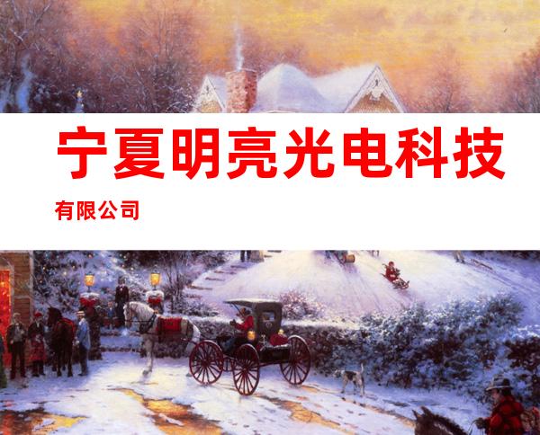 宁夏明亮光电科技有限公司