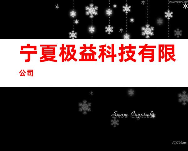 宁夏极益科技有限公司