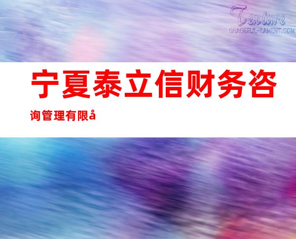 宁夏泰立信财务咨询管理有限公司