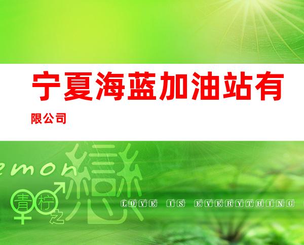 宁夏海蓝加油站有限公司