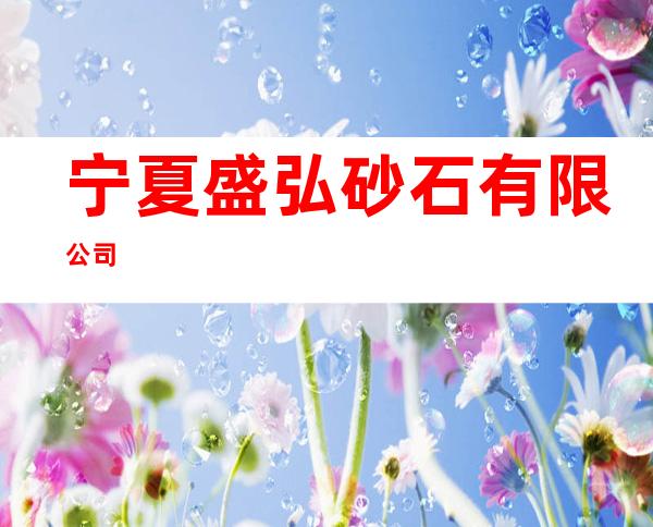 宁夏盛弘砂石有限公司