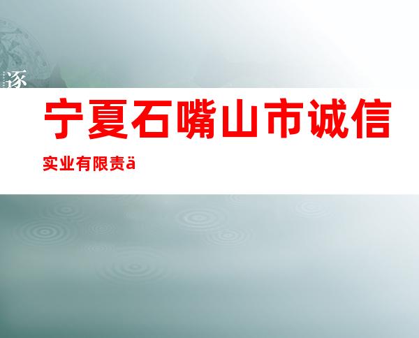 宁夏石嘴山市诚信实业有限责任公司