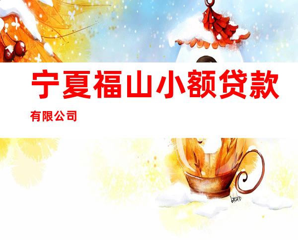 宁夏福山小额贷款有限公司