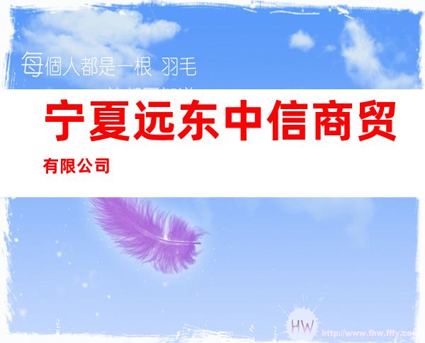 宁夏远东中信商贸有限公司