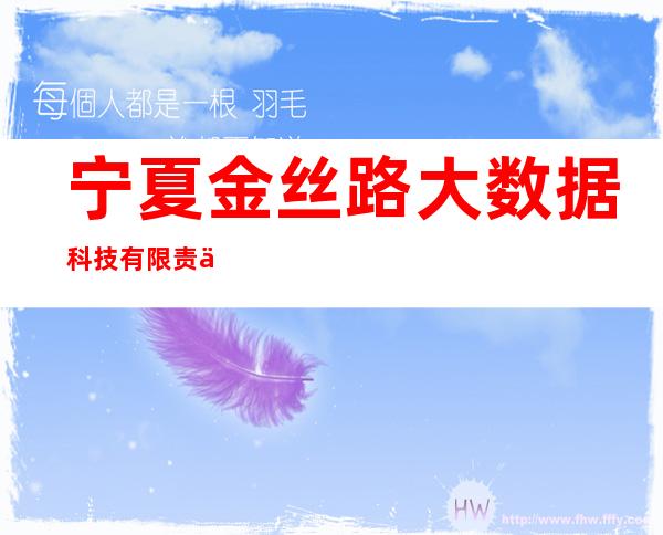宁夏金丝路大数据科技有限责任公司