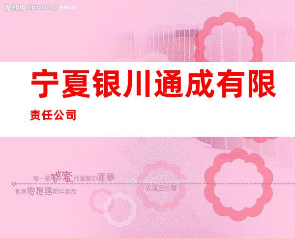 宁夏银川通成有限责任公司