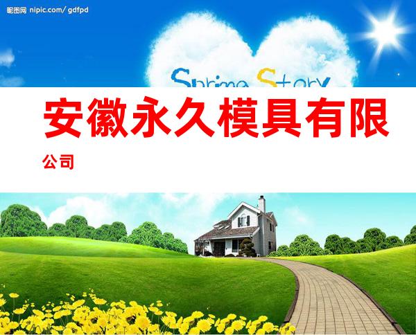 安徽永久模具有限公司