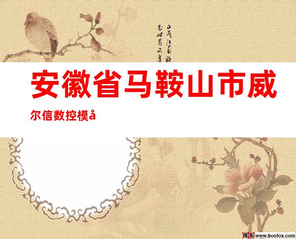 安徽省马鞍山市威尔信数控模具制造有限公司