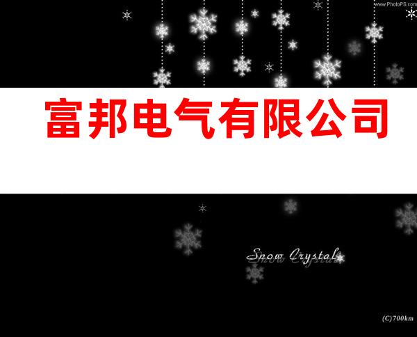 富邦电气有限公司
