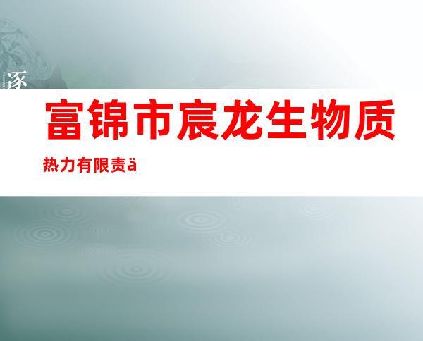 富锦市宸龙生物质热力有限责任公司