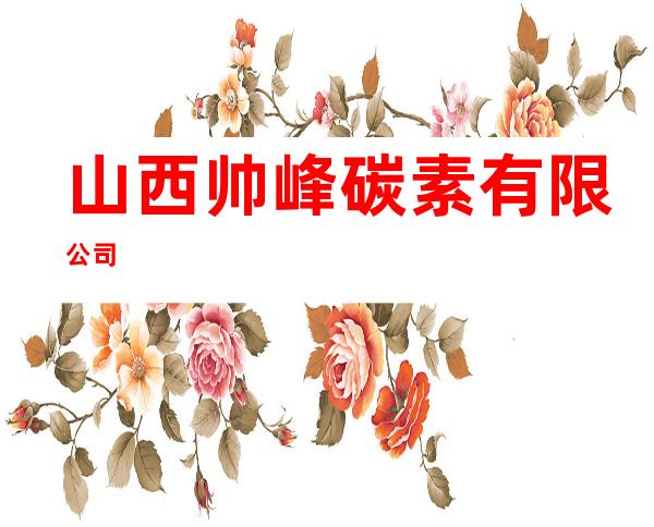 山西帅峰碳素有限公司