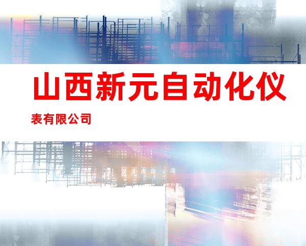 山西新元自动化仪表有限公司