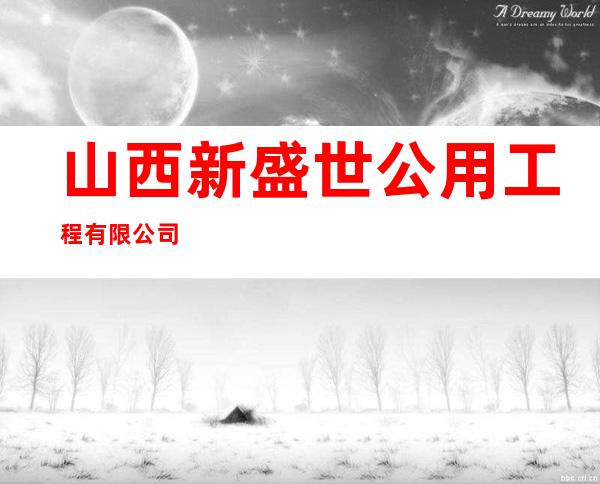 山西新盛世公用工程有限公司