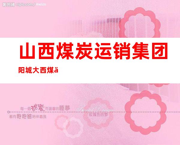 山西煤炭运销集团阳城大西煤业有限公司