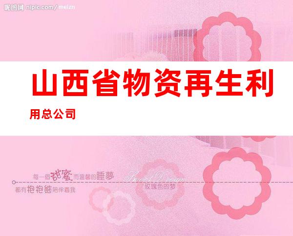 山西省物资再生利用总公司