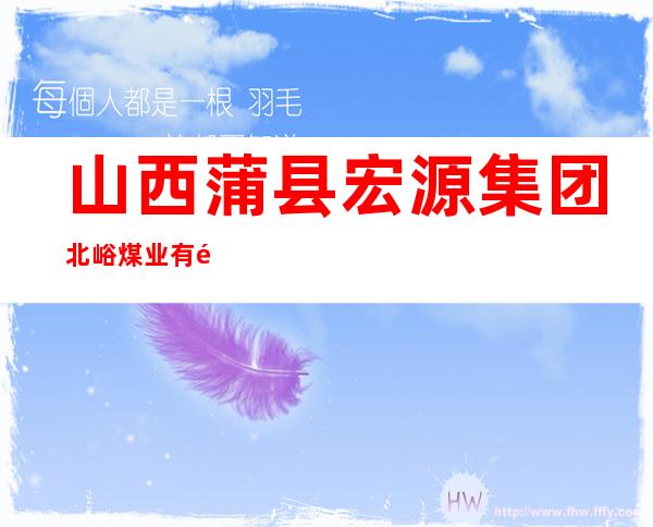 山西蒲县宏源集团北峪煤业有限公司
