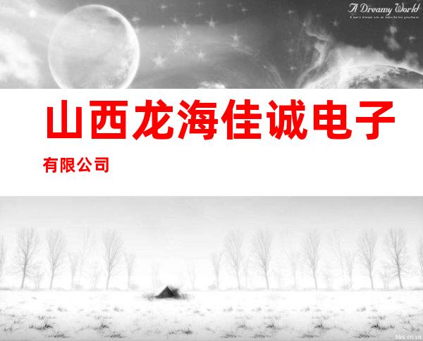 山西龙海佳诚电子有限公司