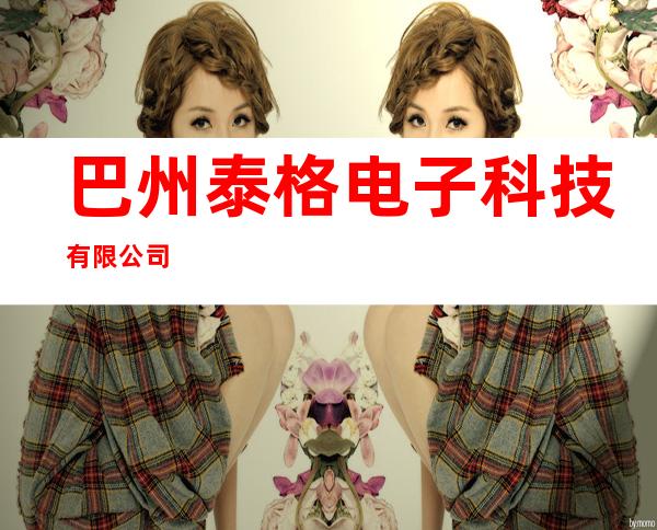 巴州泰格电子科技有限公司