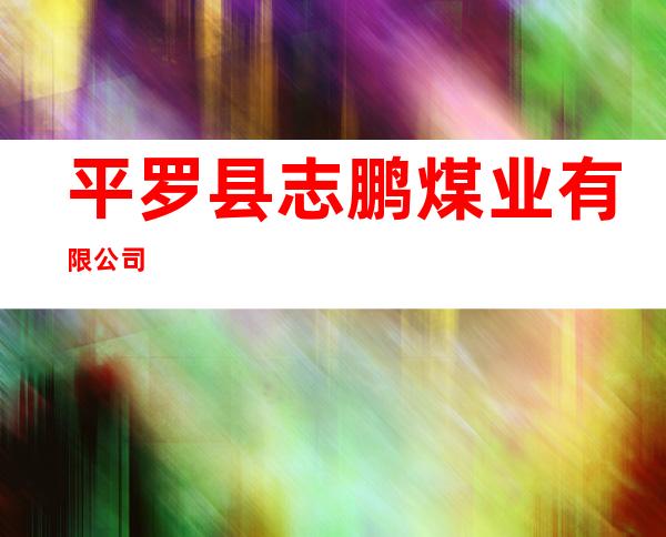 平罗县志鹏煤业有限公司