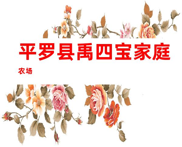 平罗县禹四宝家庭农场