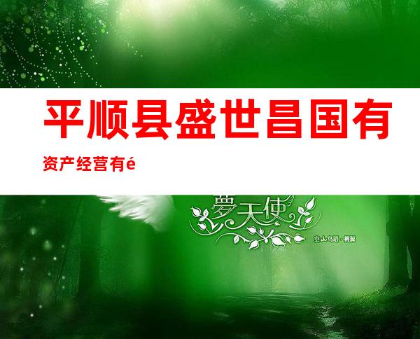 平顺县盛世昌国有资产经营有限公司
