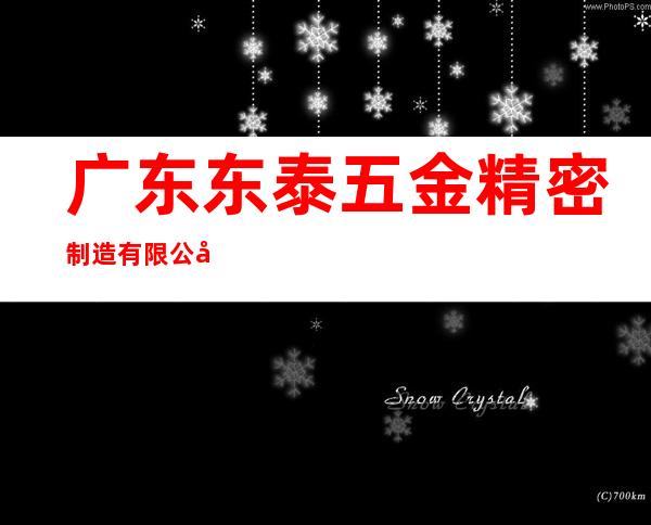 广东东泰五金精密制造有限公司