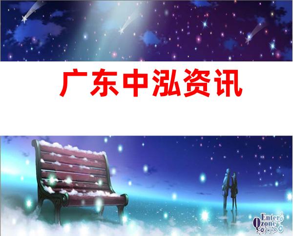 广东中泓资讯