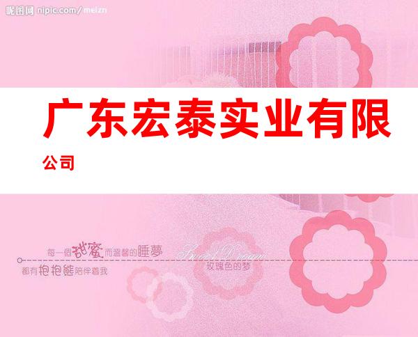 广东宏泰实业有限公司