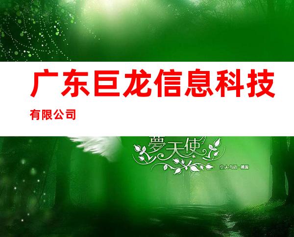 广东巨龙信息科技有限公司
