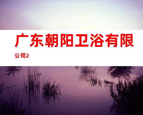 广东朝阳卫浴有限公司2