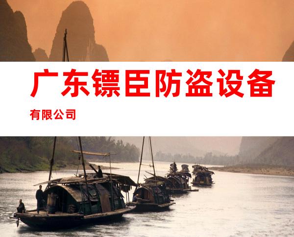 广东镖臣防盗设备有限公司