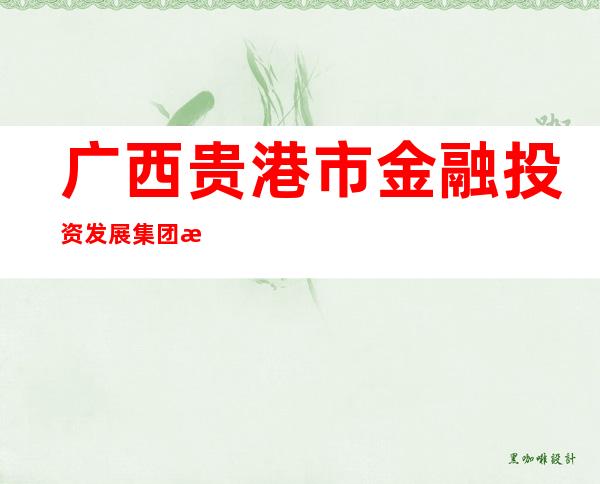 广西贵港市金融投资发展集团有限公司
