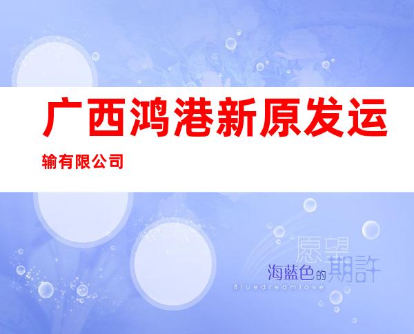 广西鸿港新原发运输有限公司