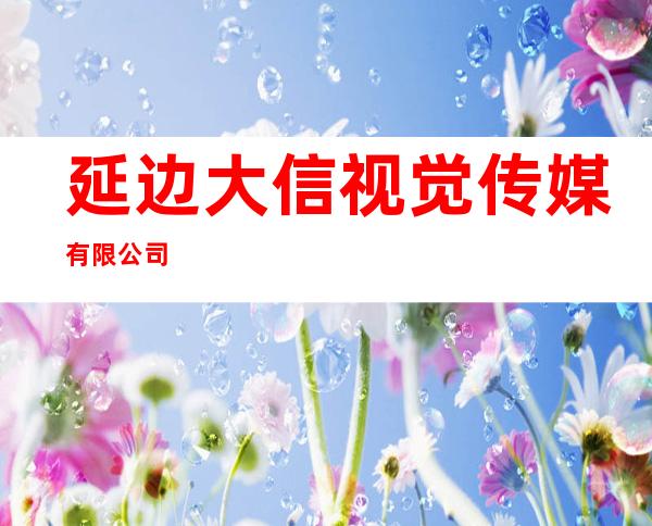 延边大信视觉传媒有限公司