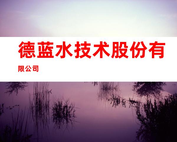 德蓝水技术股份有限公司