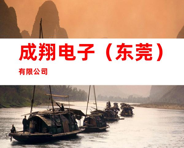 成翔电子（东莞）有限公司