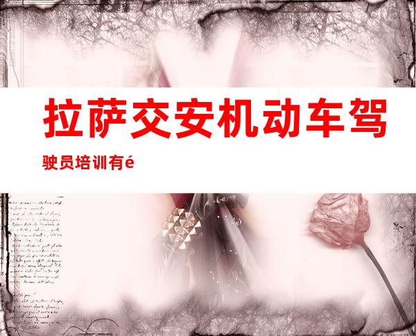 拉萨交安机动车驾驶员培训有限公司