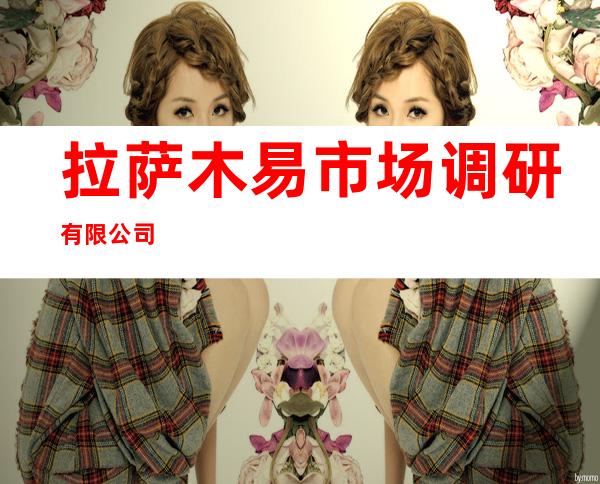 拉萨木易市场调研有限公司
