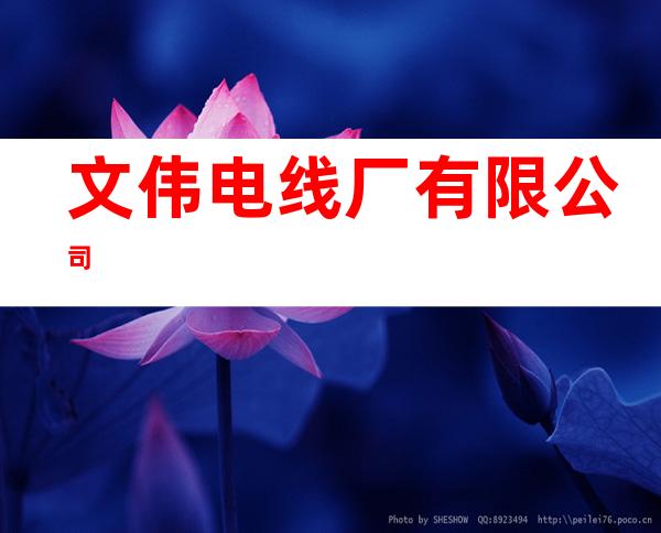 文伟电线厂有限公司