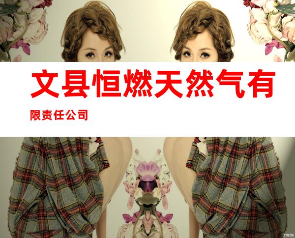 文县恒燃天然气有限责任公司