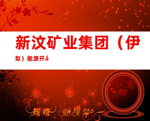 新汶矿业集团(伊犁)能源开发有限责任公司煤炭销售分公司