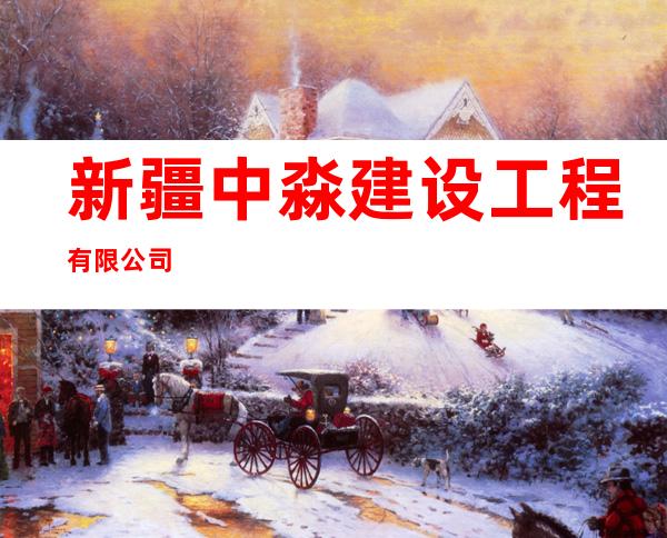 新疆中淼建设工程有限公司