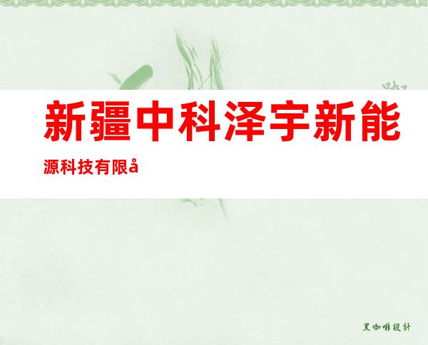 新疆中科泽宇新能源科技有限公司